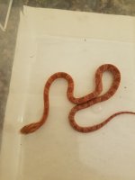 20201002_205912_1024x1024@2x.jpg