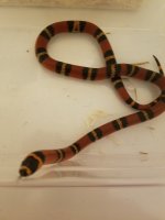 20200929_190626_1024x1024@2x.jpg