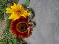 20200909_133942.jpg