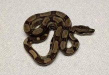 thumbnail (55).jpg