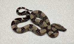 thumbnail (54).jpg