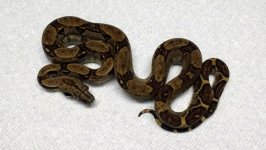 thumbnail (58).jpg