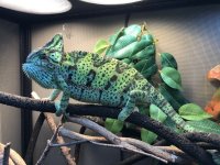 IMG_0288.jpg