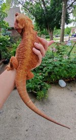 20200727_170901.jpg