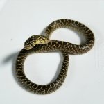20201025_143901.jpg