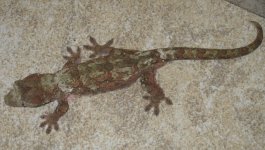 IMG_9389.jpg