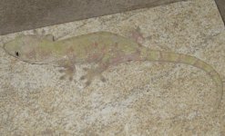 IMG_9505.jpg
