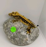 79464.jpg