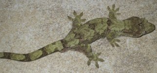 IMG_5576.jpg