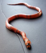20201226_121639.jpg