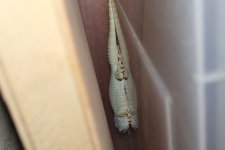 IMG_0370 2.jpg
