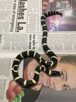 IMG_0270.JPG