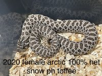 5467DC25-38E9-488C-9C3E-8CD6C4C322DC.jpg