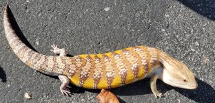 20201027_142848.jpg