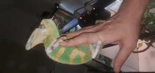 20201231_130810.jpg