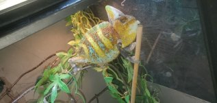 20201231_131059.jpg
