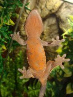 DSC04004.JPG