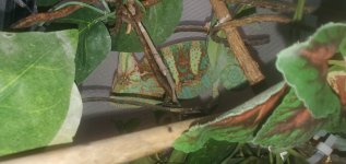 20201231_130949.jpg