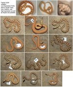Untitled-4.jpg
