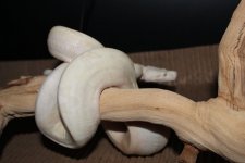 F920E7F4-35F6-420F-BB6F-33AE0D8EC53B.jpg