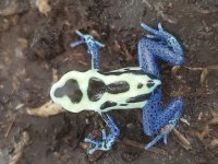 20201113_144237.jpg