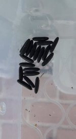 CC9AD566-2D02-4A2D-AA09-42F68EC216D8.jpeg