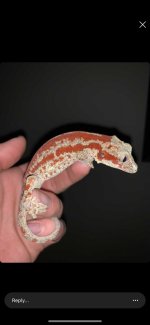 IMG_0798.jpg