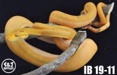 885139D3-5954-4073-B3D6-7125BADB1AC5.jpeg
