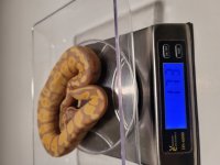 20201115_183542.jpg