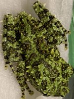 cbb mossy 40 (2).jpg