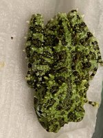 cbb mossy 40.jpg