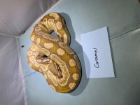 caramel .jpg