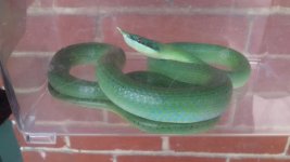 IMG_20200814_140514_148.jpg