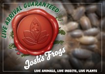 live arrival guaranteed insects amazon.jpg