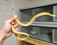 20200816_155320.jpg