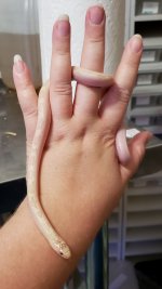 20200903_150657.jpg