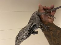 ADEFC117-A283-4078-A2D1-C0329FC80FB8.jpg
