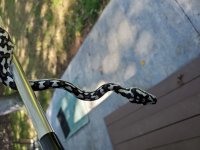 20201002_134922.jpg
