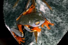 IMG_1527.jpg