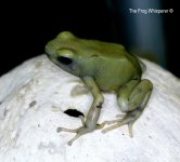 IMG_1513.jpg