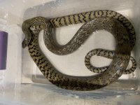 68CCC167-19E8-4910-8DCC-C190270D45D1.jpg