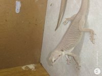 IMG_20201006_105617904 (1).jpg