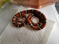 20201107_093458.jpg