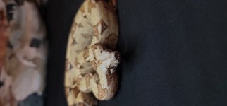 20201111_171934.jpg