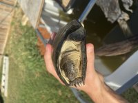 692E4885-8429-4F23-85F1-D234F84C8BF9.jpg