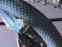 6D0C7F5F-6D37-4489-BE02-4D53E9D7C4C2.jpg
