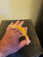 hypo2.jpg