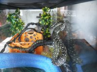 DSCF1687.jpg