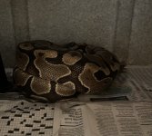 IMG_0443.jpg