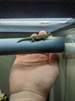 IMG_20201007_181707.jpg